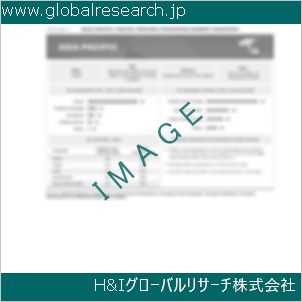 グローバルリサーチ調査資料のイメージ